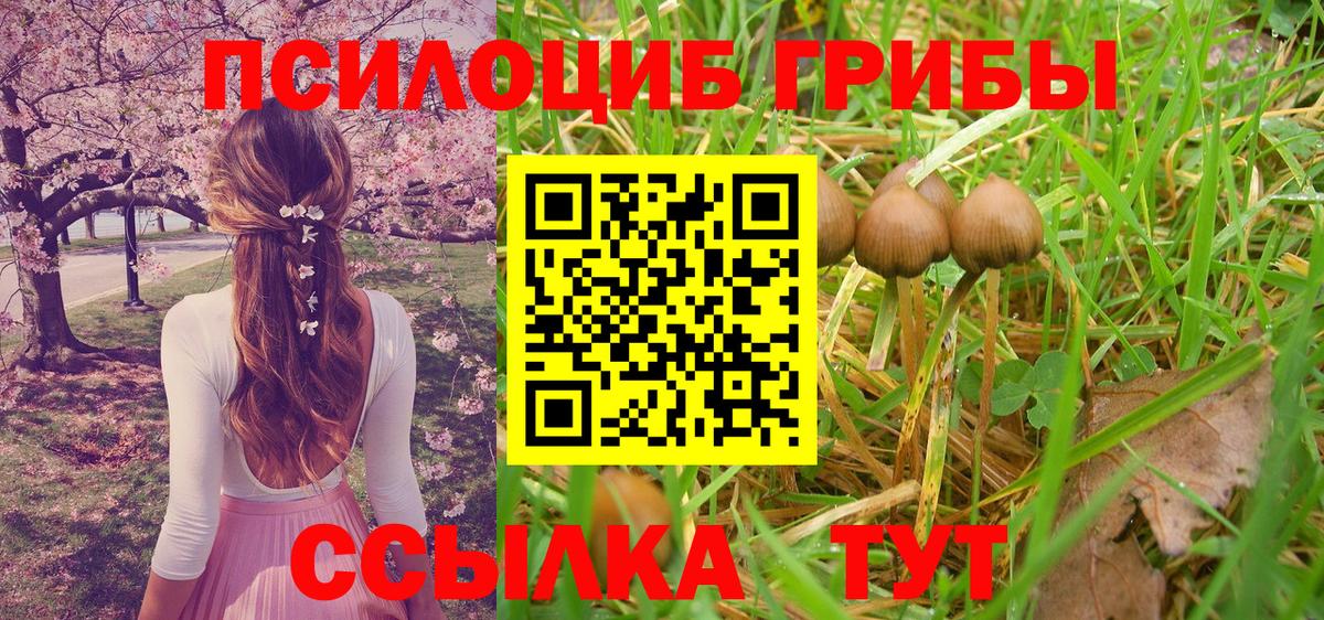 Псилоцибиновые грибы Magic Shrooms Воронеж