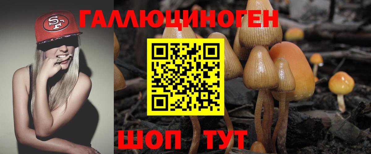 Воронеж  Галлюциногенные грибы Cubensis  Вход с VPN 